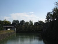 IMG_3310.JPG